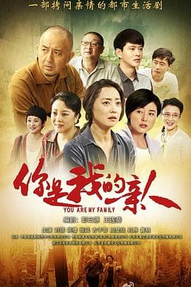 你是我的亲人 - 国产剧 (2013) 海报