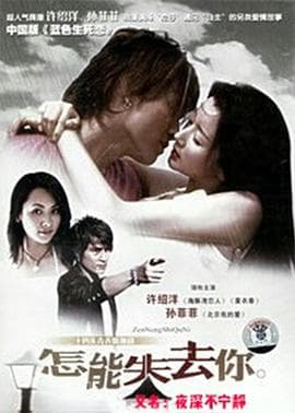 夜深不宁静 - 国产剧 (2006) 海报