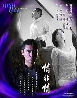 情非情 - 国产剧 (2009) 海报
