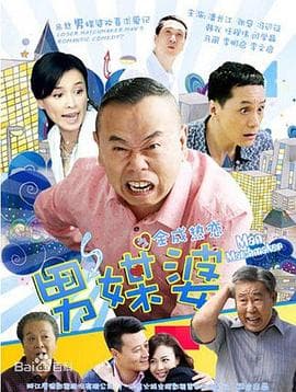 男媒婆 - 国产剧 (2013) 海报