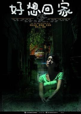 好想回家 - 国产剧 (2006) 海报