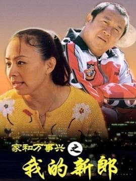 家和万事兴之我的新郎 - 国产剧 (2002) 海报