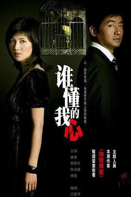 谁懂我的心 - 国产剧 (2008) 海报