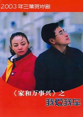 家和万事兴之我爱我车 - 国产剧 (2003) 海报