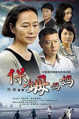 保姆妈妈 - 国产剧 (2009) 海报