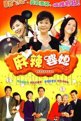 麻辣婆媳 - 国产剧 (2006) 海报