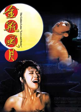 金瓶风月 - 港台三级 (1991) 海报