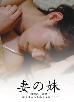 妹妹的诱惑 - 日本伦理 (2009) 海报