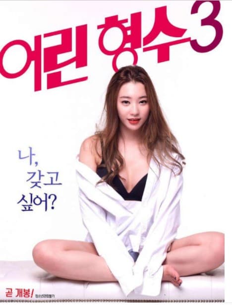 年轻的嫂子3 - 韩国伦理 (2017) 海报