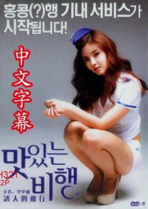 飞行中的艳遇 - 韩国伦理 (2018) 海报