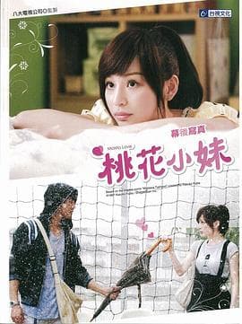 桃花小妹 - 台剧 (2009) 海报