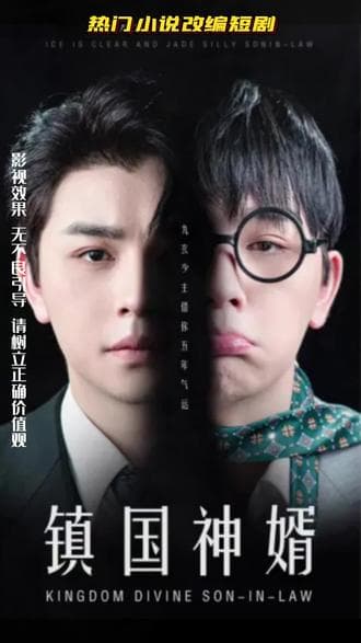 镇国神婿 - 爽文短剧 (2023) 海报