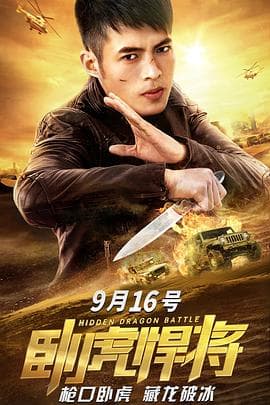 卧虎悍将 - 动作片 (2019) 海报