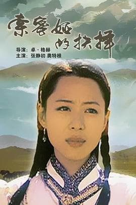 索密娅的抉择 - 剧情片 (2003) 海报