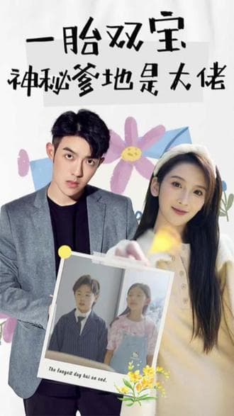 新一胎双胞,神秘爹地是大佬 - 爽文短剧 (2023) 海报