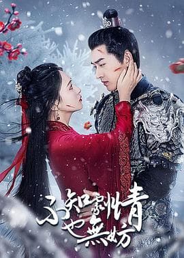 不知剧情也无妨 - 国产剧 (2024) 海报