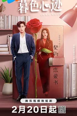 暮色心迹 - 国产剧 (2024) 海报