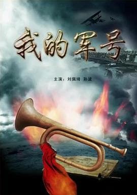 我的军号 - 剧情片 (2011) 海报