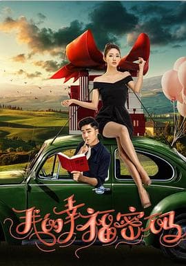 我的幸福密码 - 剧情片 (2017) 海报