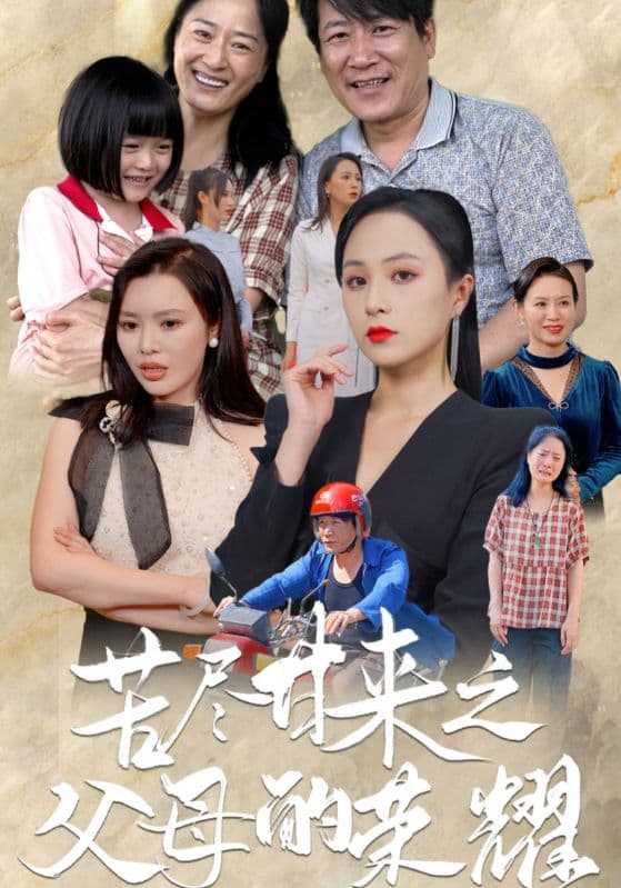 苦尽甘来之父母的荣耀 - 现代都市 (2024) 海报