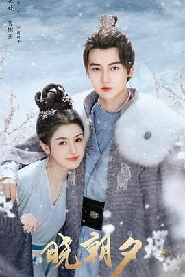 晓朝夕 - 国产剧 (2024) 海报