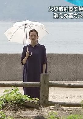 绫濑遥倾听战争从地图上消失的秘密岛屿 - 剧情片 (2017) 海报