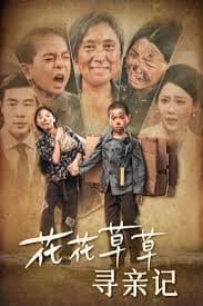 花花草草寻亲记 - 现代都市 (2024) 海报