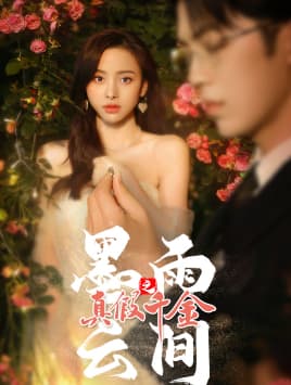 墨雨云间之真假千金 - 现代都市 (2024) 海报