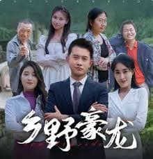 乡野豪龙 - 现代都市 (2024) 海报