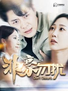 非豪勿扰 - 现代都市 (2024) 海报