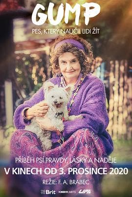 流浪狗阿甘 - 剧情片 (2021) 海报