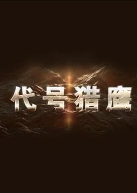 代号猎鹰 - 国产剧 (2018) 海报