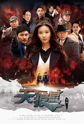 天狼星行动 - 国产剧 (2013) 海报