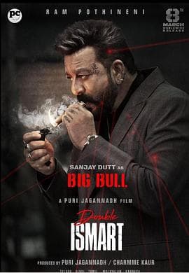 双重智脑 - 动作片 (2024) 海报