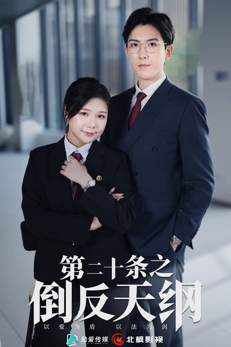 第二十条之倒反天纲 - 现代都市 (2024) 海报