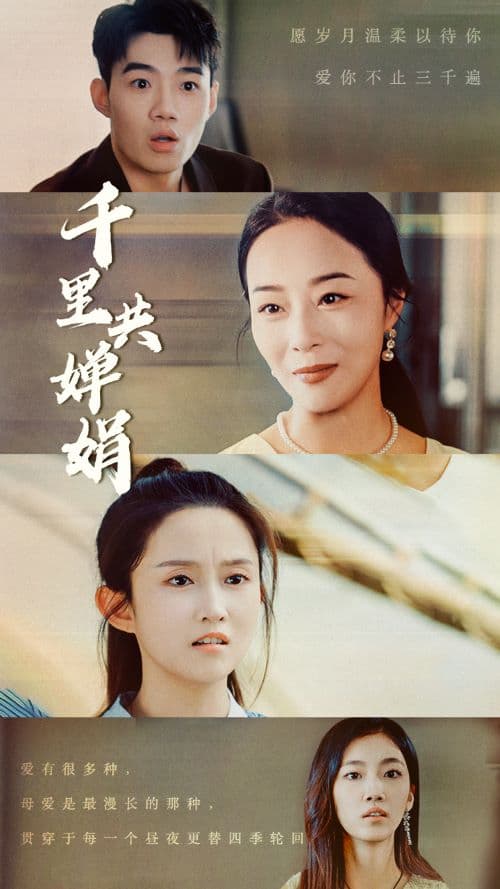 千里共婵娟 - 现代都市 (2024) 海报