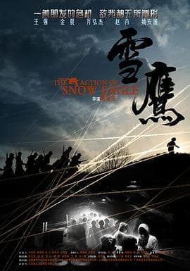 雪鹰 - 国产剧 (2014) 海报