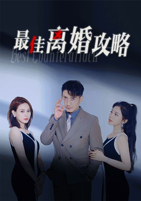 最佳离婚攻略 - 现代都市 (2024) 海报