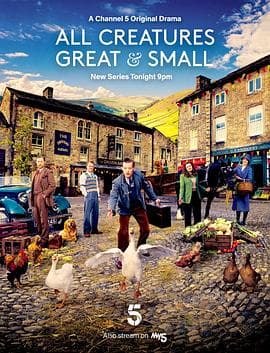 万物生灵 第二季 - 欧美剧 (2021) 海报