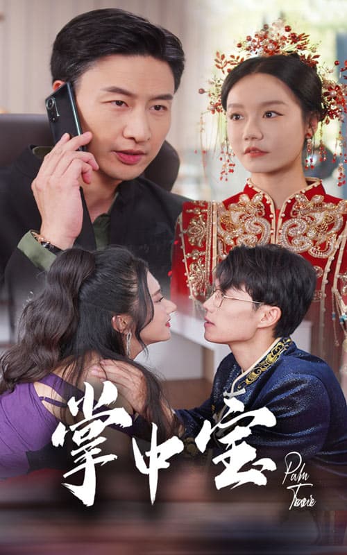 掌中宝 - 现代都市 (2024) 海报