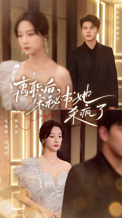 离职后,宋秘书她杀疯了 - 女频恋爱 (2024) 海报