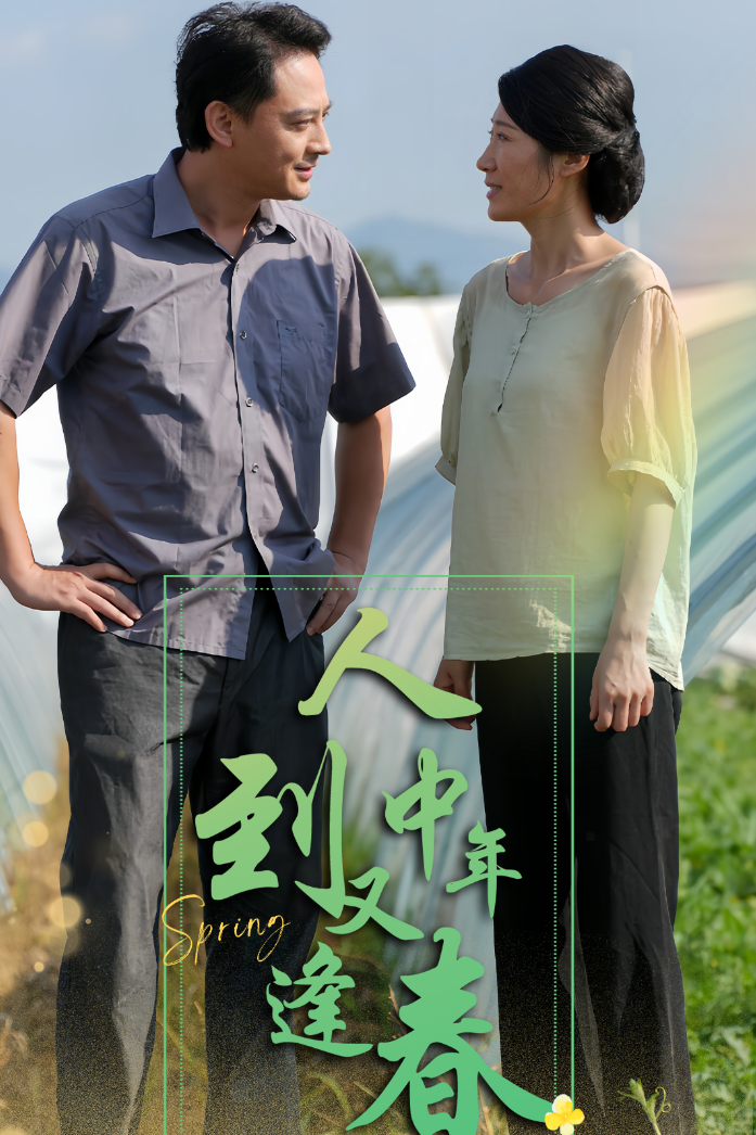 人到中年又逢春 - 现代都市 (2024) 海报