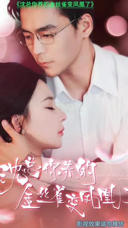 沈总你养的金丝雀变凤凰了 - 女频恋爱 (2024) 海报