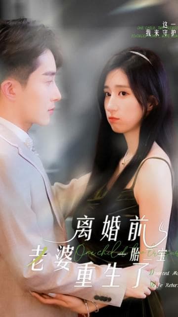一胎二宝:离婚前老婆重生了 - 女频恋爱 (2024) 海报