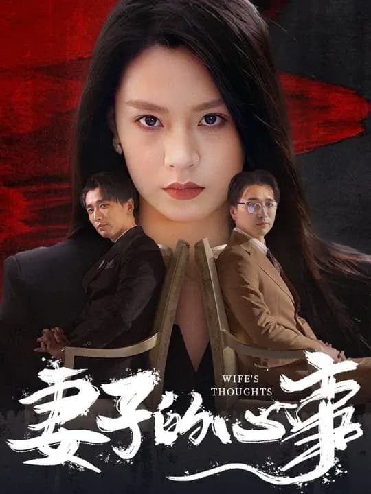 妻子的心事 - 现代都市 (2024) 海报