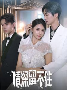 情深留不住 - 女频恋爱 (2024) 海报