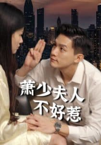 萧少夫人不好惹 - 女频恋爱 (2024) 海报