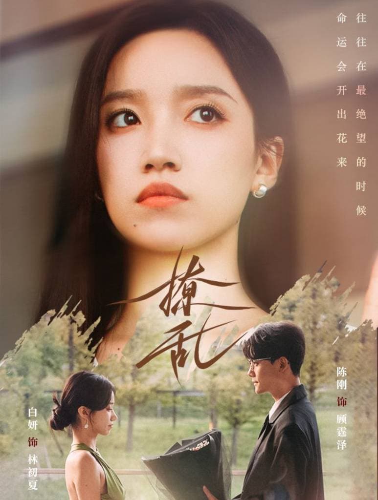 撩乱短剧版 - 女频恋爱 (2024) 海报