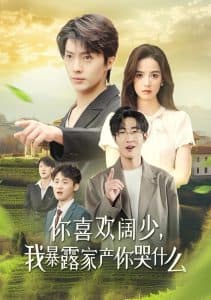 你喜欢阔少我暴露家产你哭什么 - 女频恋爱 (2024) 海报