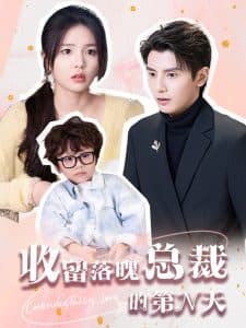 收留落魄总裁的第N天 - 女频恋爱 (2024) 海报